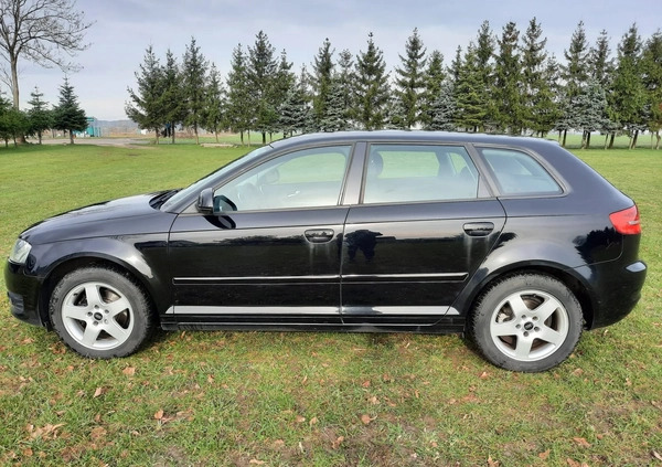 Audi A3 cena 25700 przebieg: 204800, rok produkcji 2009 z Tychy małe 37